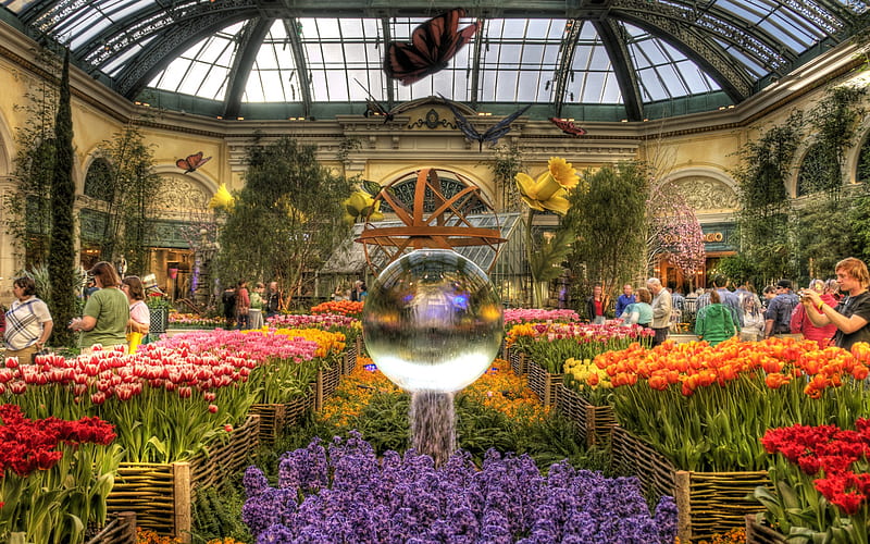 Bellagio conservatory, glass dome, botanical, usa, conservatory, flowers, garden, nature, display, las vegas, HD wallpaper