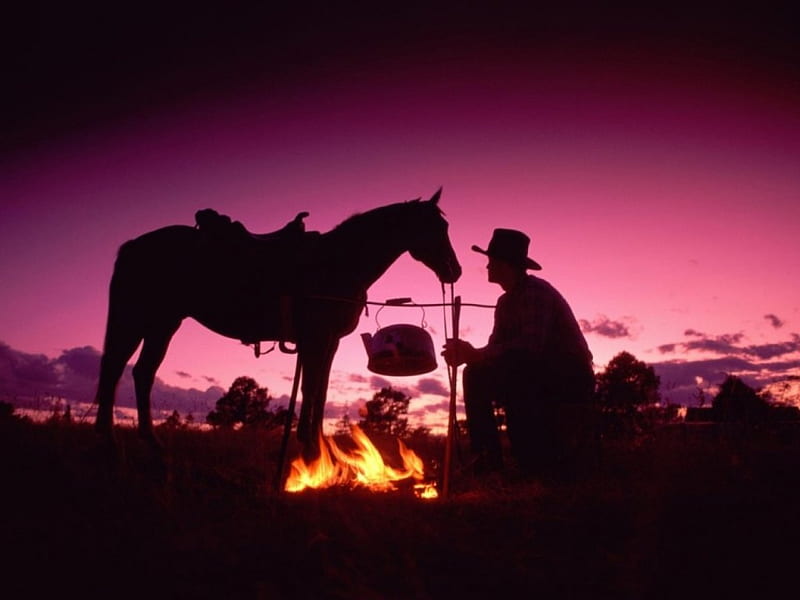 Wild West Evening, saddle, campfire, silhouette, horse, cowboy, pink sky, HD wallpaper