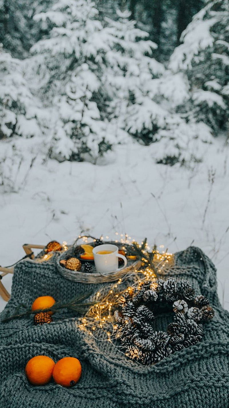 Winter , snow, tree, tea, pine cone, cold, HD phone wallpaper