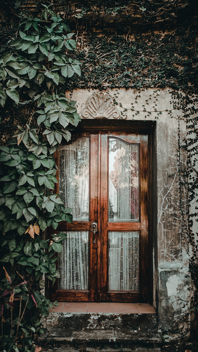 Dark door, houses, rain, window, wood, HD phone wallpaper | Peakpx