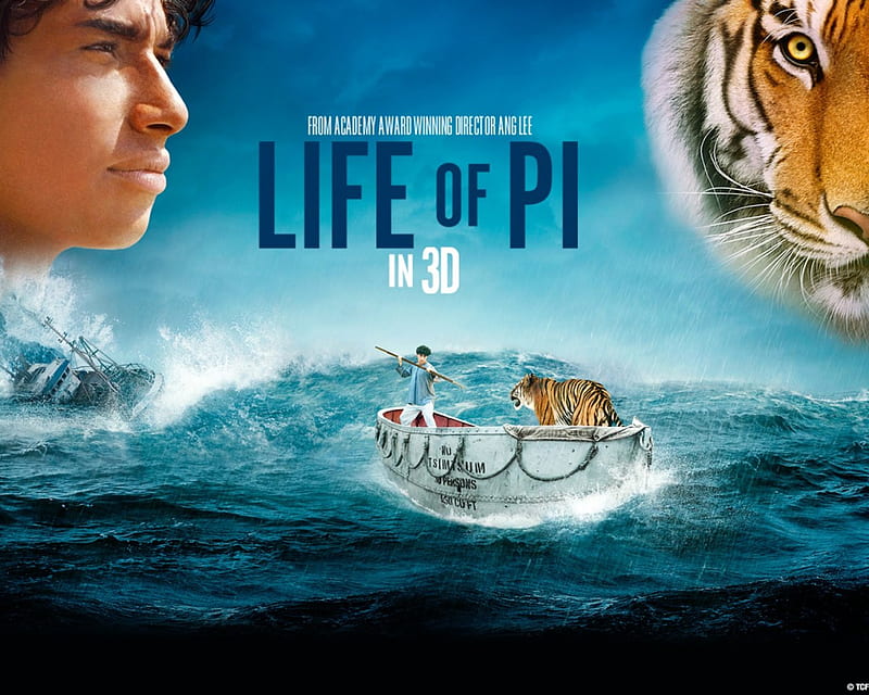 Life of Pi, pi, movie, Life, of, HD wallpaper | Peakpx
