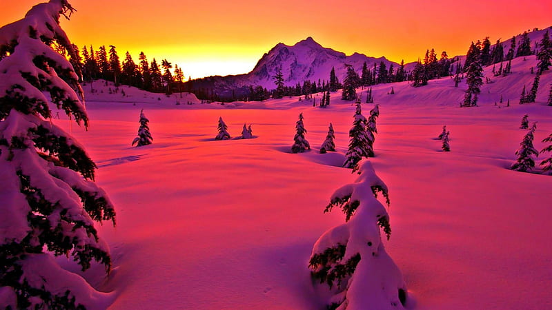 Winter Mountain, mountain, snow, nature, scenes, sunset, trees, pink, winter, HD wallpaper