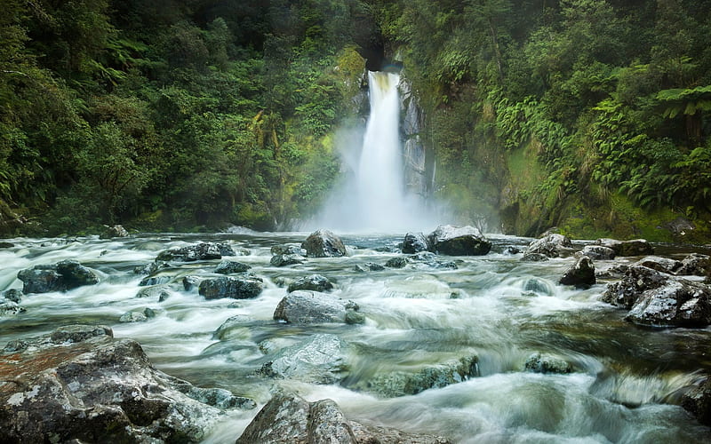 Giants Gate Falls, mountain river, waterfall, stones, water, forest, Fiordland, New Zealand, HD wallpaper