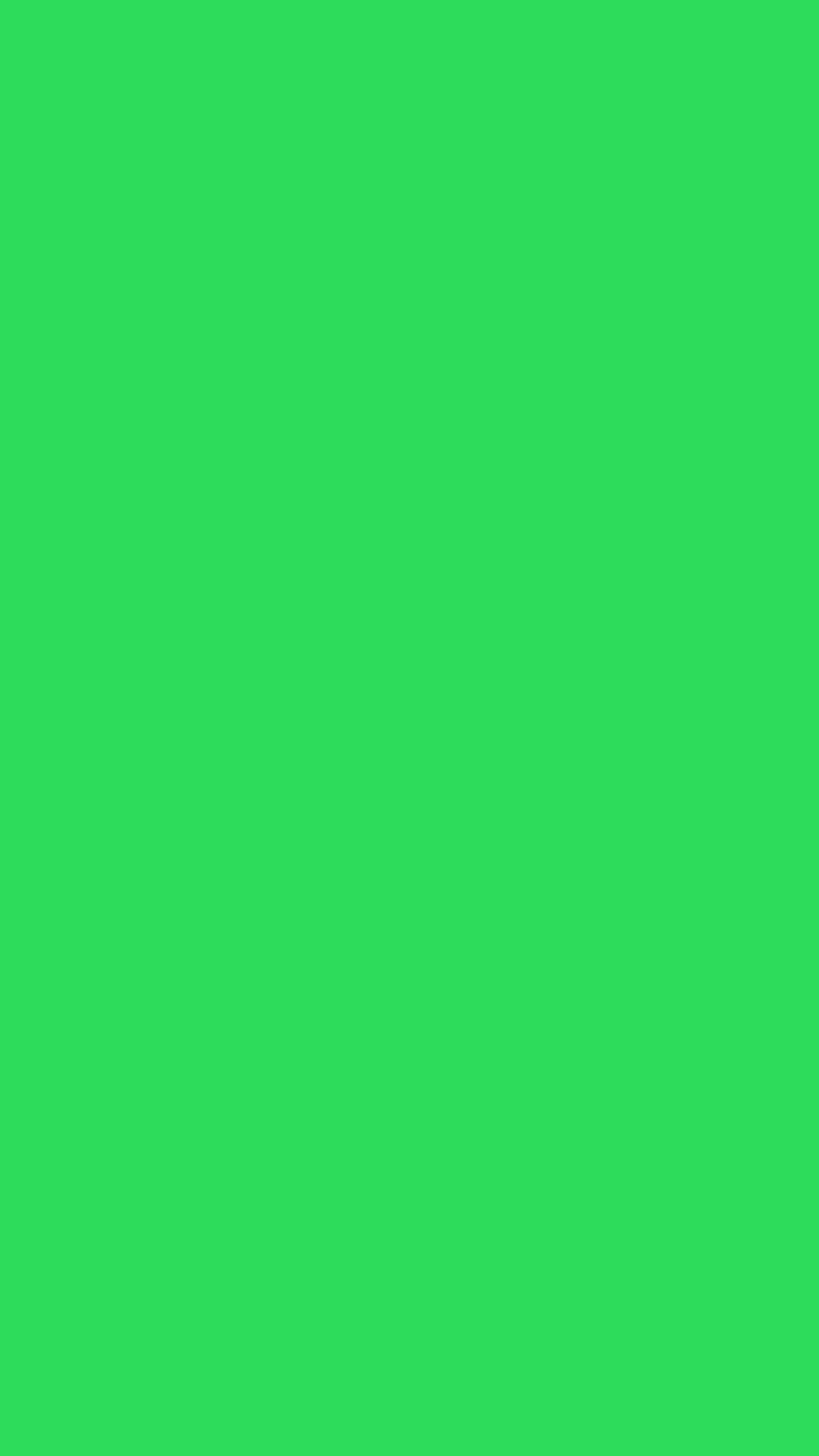 Bright Green, color, colors, metal, neon, HD phone wallpaper