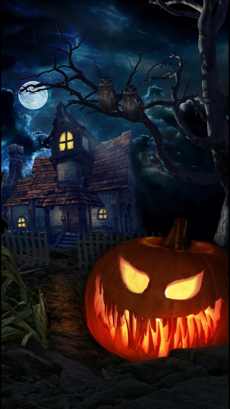 Halloween, halloween, halloween pumkin, halloween, pumpkins, pumpkin ...