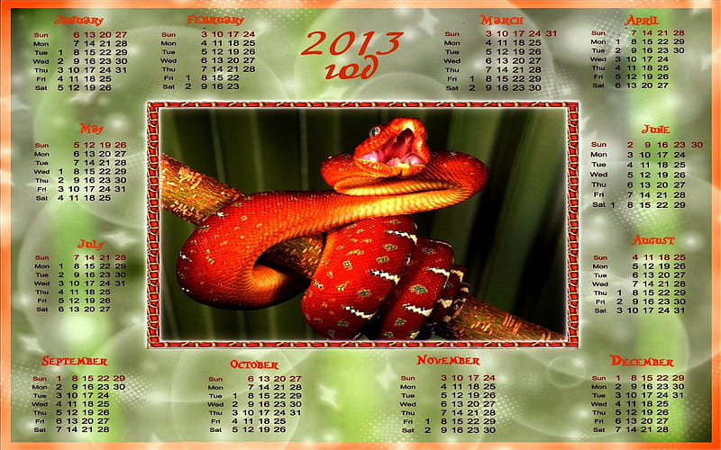 2013~YEAR of the SNAKE, calendar, new year, dates, year of the snake, HD wallpaper