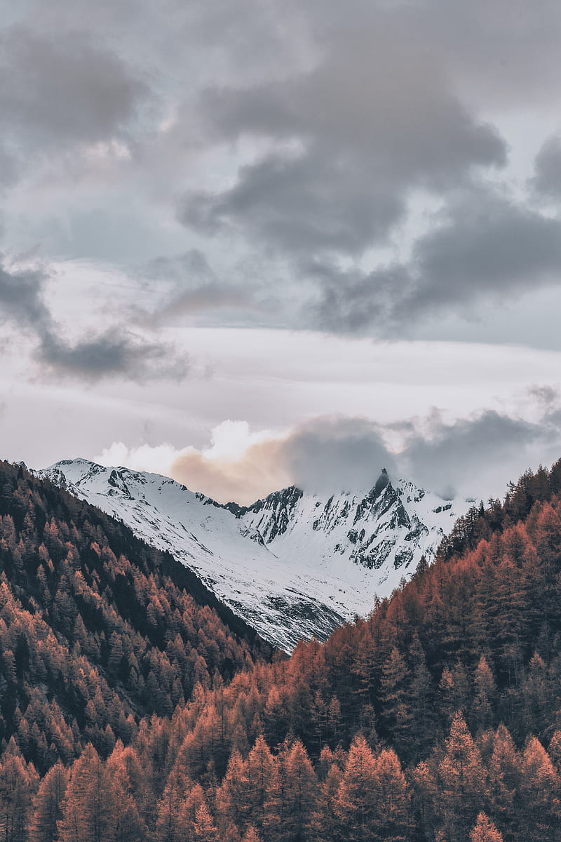 italy, mountains, clouds, trees, winter, snow, Landscape, HD phone wallpaper