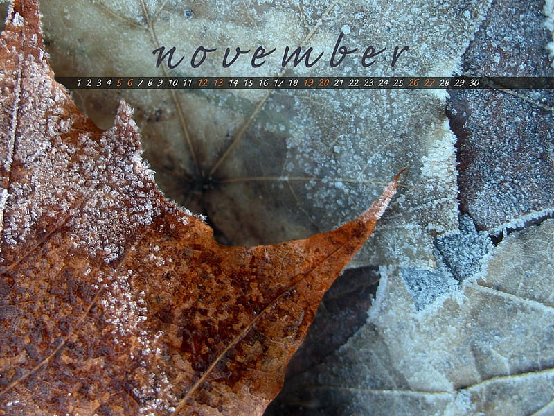 Winter Is Coming-November 2011-Calendar, HD wallpaper