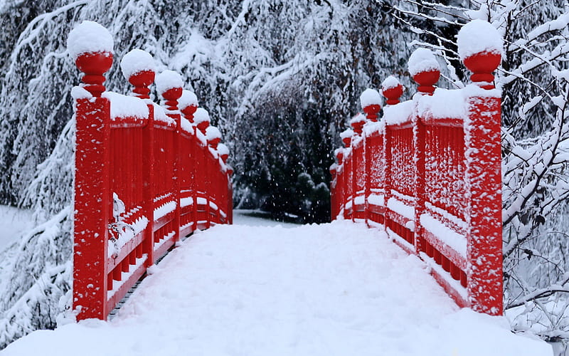 red japanese bridge winter-winter theme, HD wallpaper