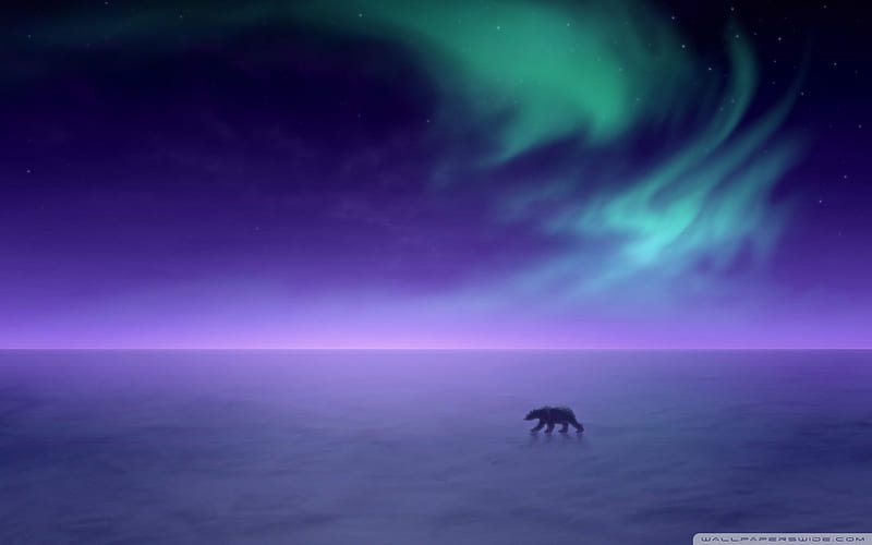 Polar Bear In The Northern Lights, northern lights, the northern lights, aurora, aurora borealis, polar bear, HD wallpaper