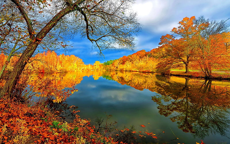 Autumn lake, fall, autumn, shore, grass, falling, bonito, clouds ...