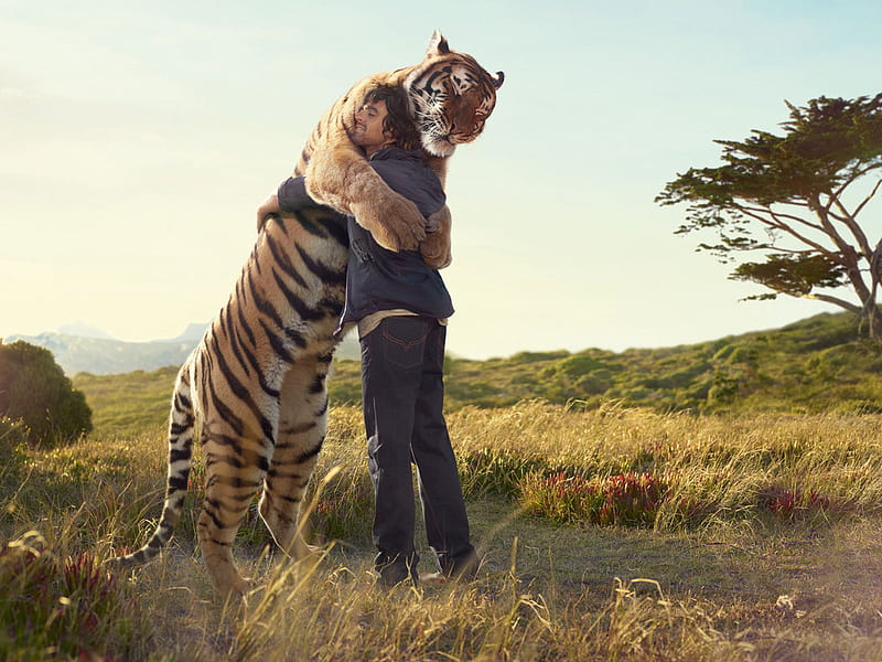 Friendship, hug, people, tiger, man, animal, HD wallpaper