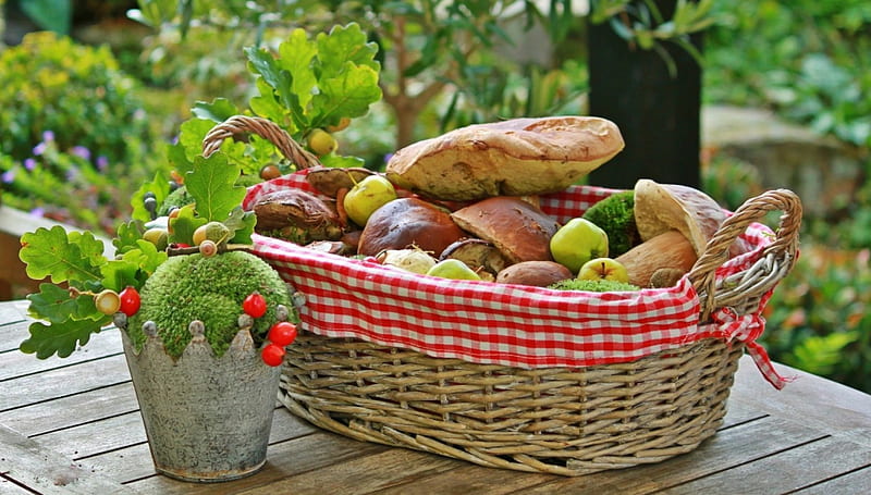 Mushroom Basket, collect, basket, mushrooms, nature, Autumn, thanksgiving, HD wallpaper