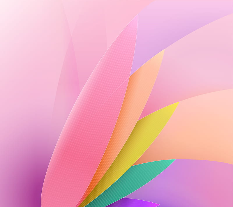 Petals Abstract, girly, pink, HD wallpaper