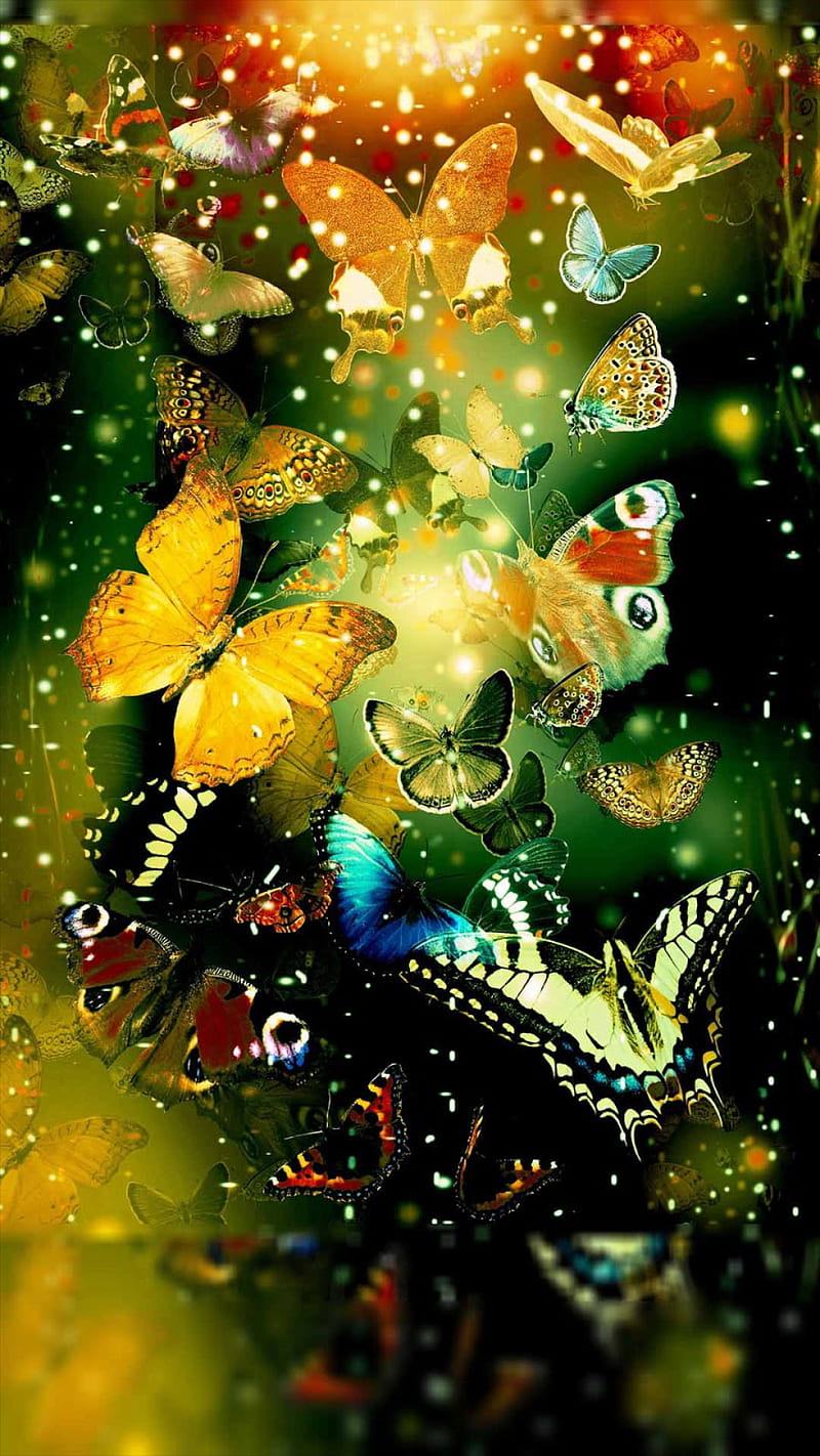 Mariposas, mariposa, colorido, naturaleza, abundancia, Fondo de pantalla de  teléfono HD | Peakpx