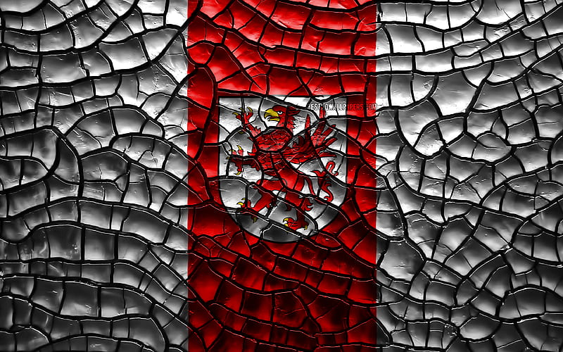 Flag of West Pomerania polish voivodeships, cracked soil, Poland, West Pomerania flag, 3D art, West Pomerania, Voivodeships of Poland, administrative districts, West Pomerania 3D flag, Europe, HD wallpaper