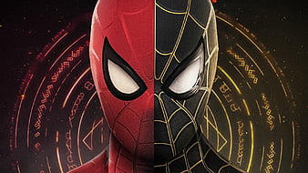 HD spider face wallpapers | Peakpx