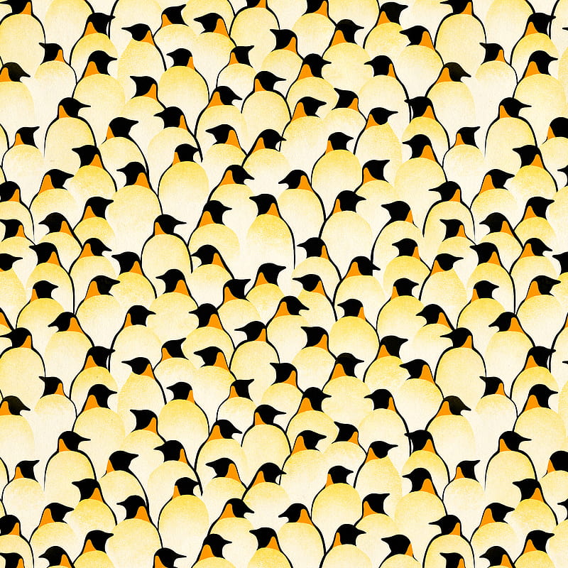 Penguins, Florent, animal, cold, old, penguin, vintage, wild, HD phone wallpaper