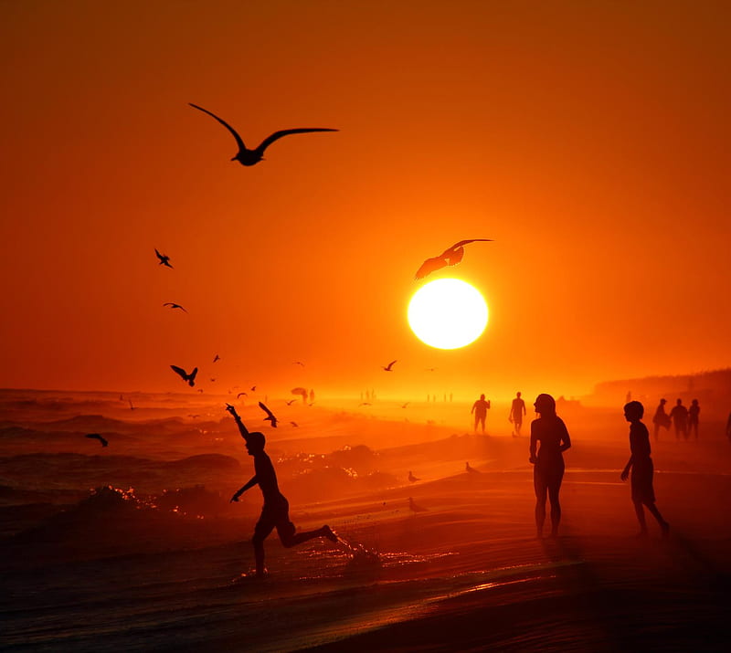 Sunset Beach, beach, birds, kids, people, red, sand, summer, sun, sunset, HD wallpaper