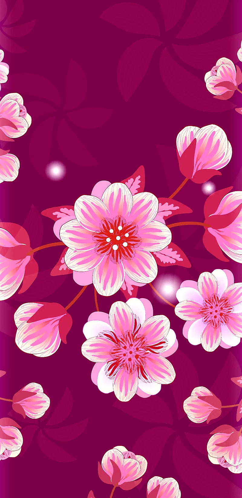 Pink Cherry Blossom Wallpaper HD – Cute Wallpapers 2023
