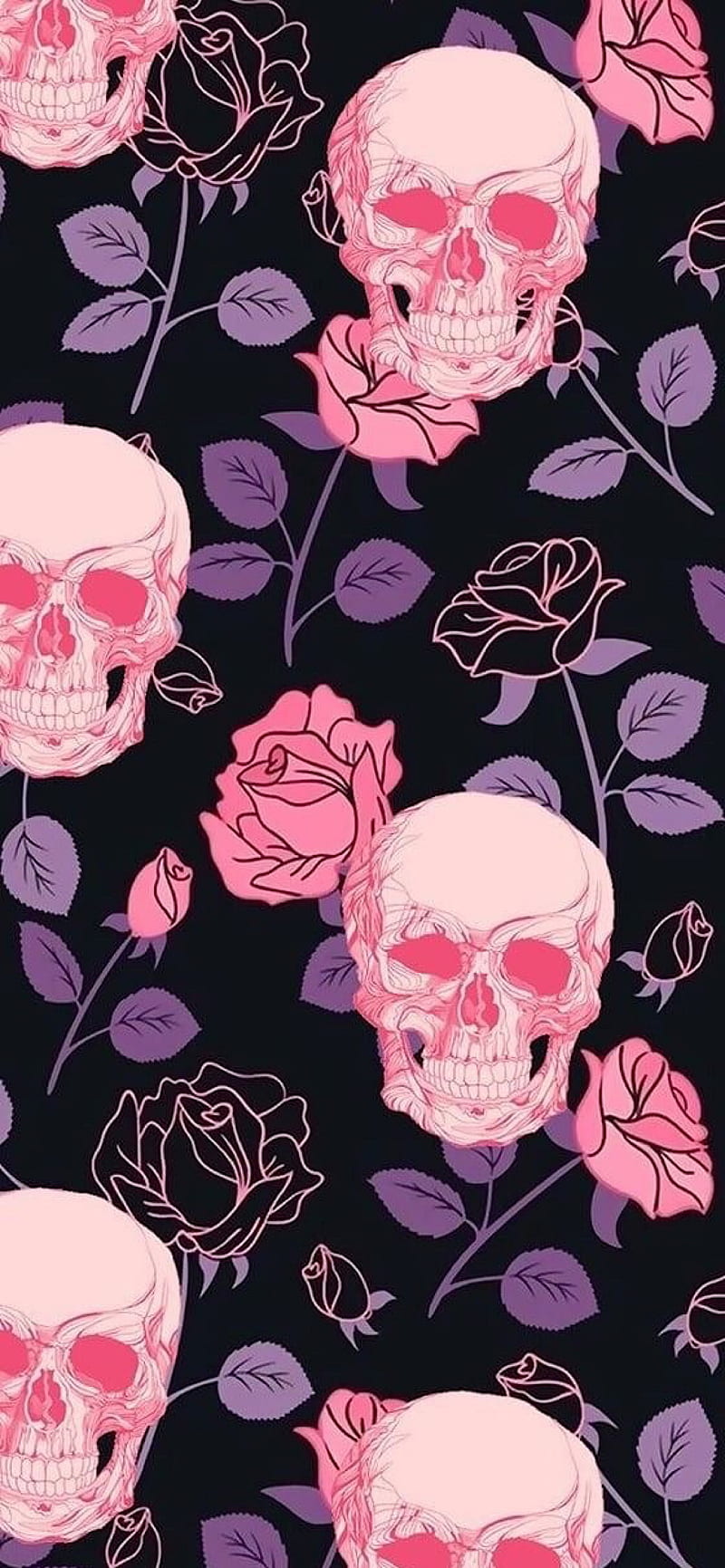 Skulls and Roses, dark, flowers, pink, purple, rose, skull, HD phone wallpaper
