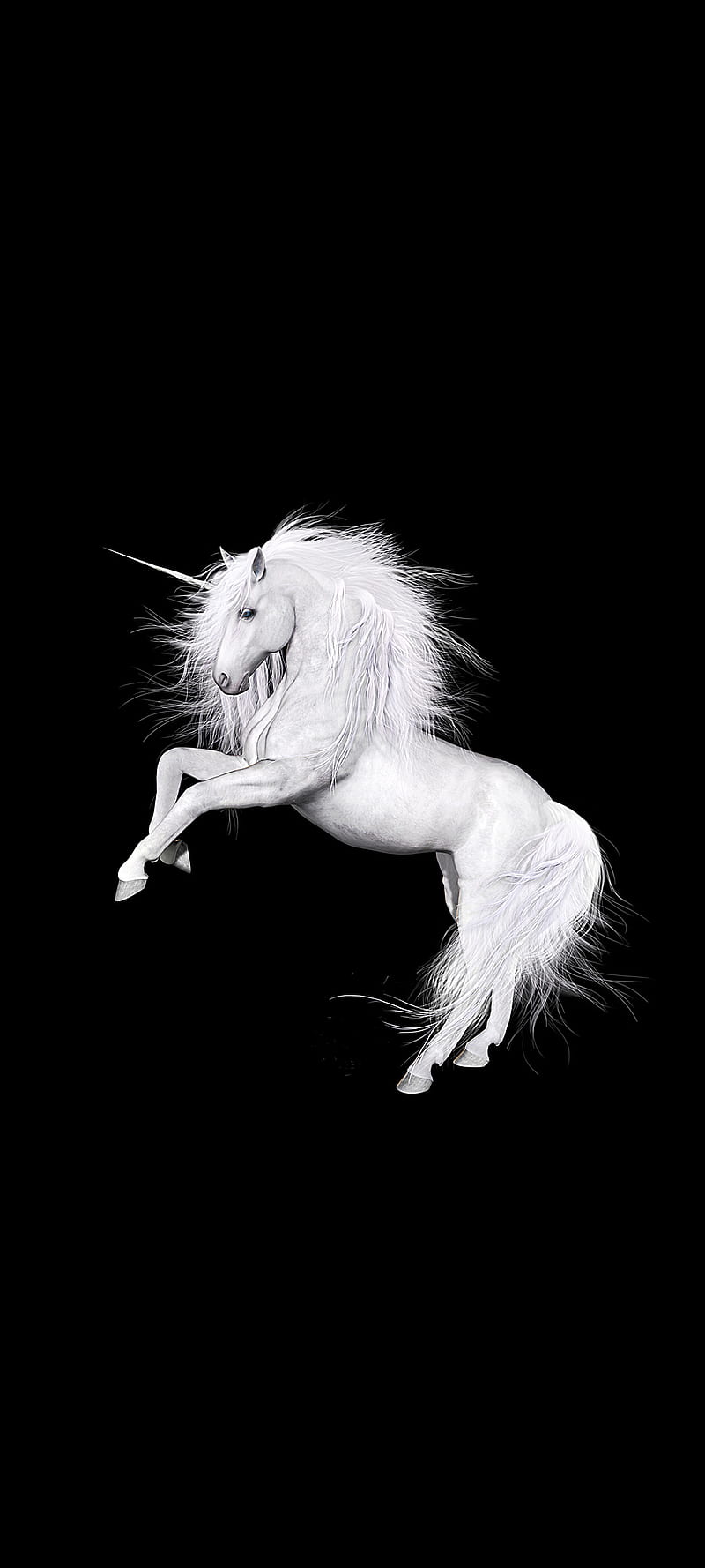 Unicorn, art, holy, horn, horse, horses, white, HD phone wallpaper