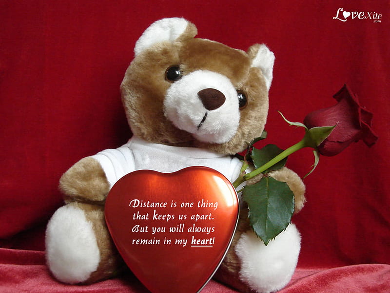 Teddybear love, red, teddybear, pillow, rose, heart, HD wallpaper