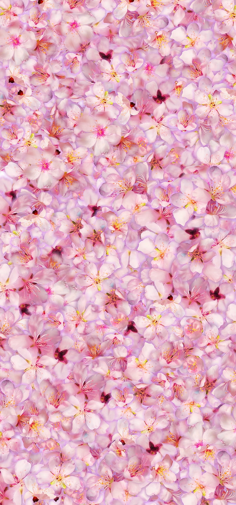 Pink Flower, desenho, designs, floral, flower, knit, vintage, yarn, HD phone wallpaper
