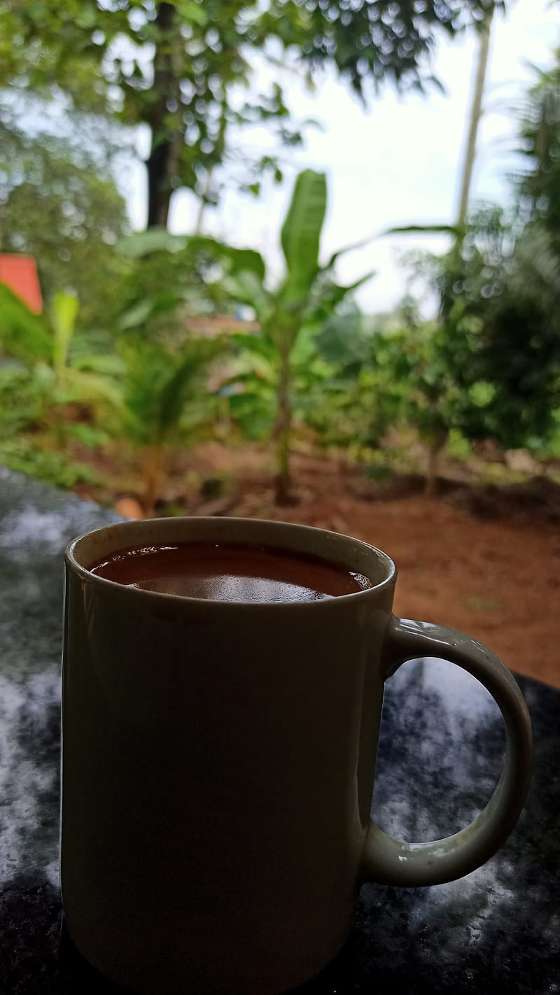 Tea with naturew, coffee, good, morning, nature, shop, HD phone ...