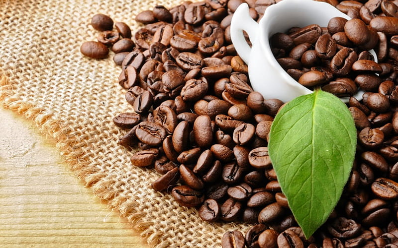 *** Coffee Beans ***, seeds, brown, color, nature, koffee, HD wallpaper