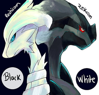 reshiram and zekrom (pokemon) drawn by agakunoda