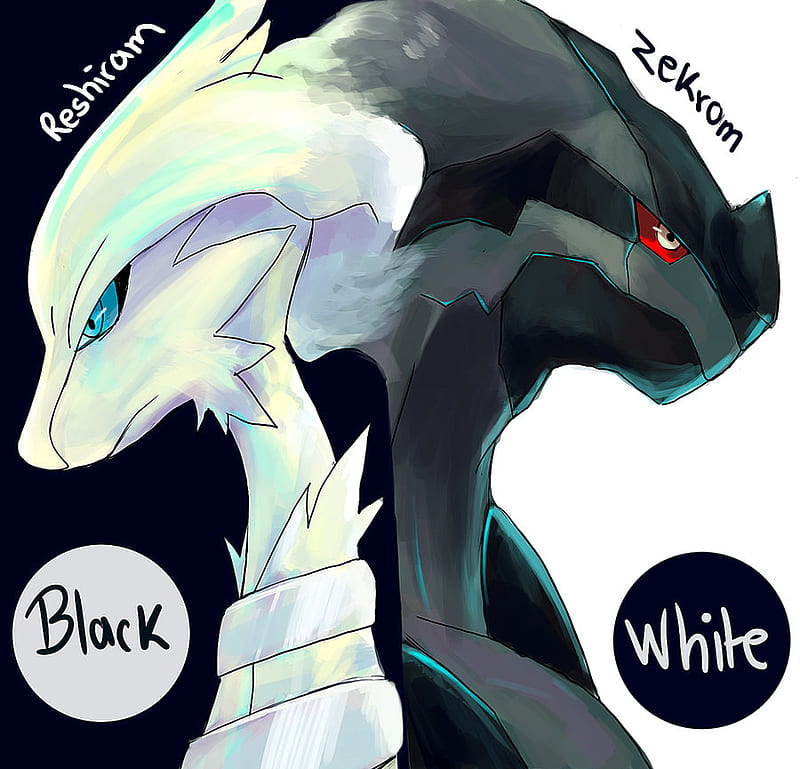 Cool reshiram /zekrom fusion