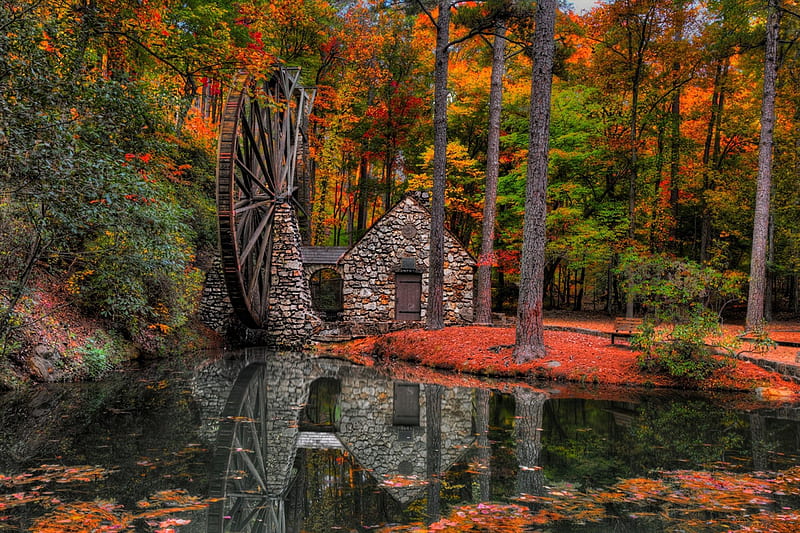 Old Water Mill, nature, leaves, water, stones, HD wallpaper