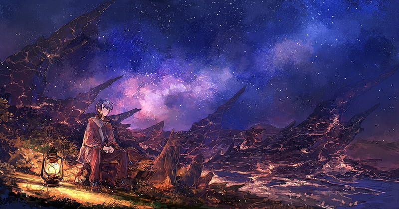 anime starry sky, night, anime boy, dogs, lantern, Anime, HD wallpaper