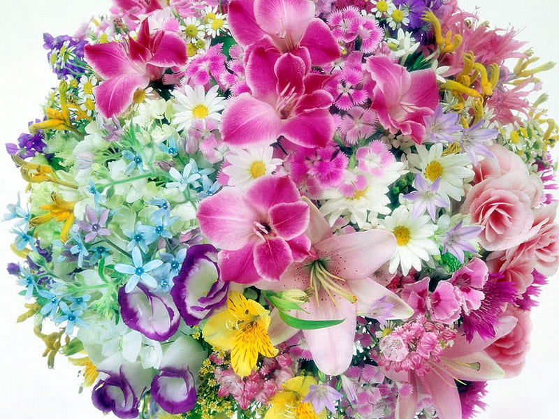 Flores de colores exóticos s .jpg, bonitas, flores, exóticas, boqeut, Fondo  de pantalla HD | Peakpx
