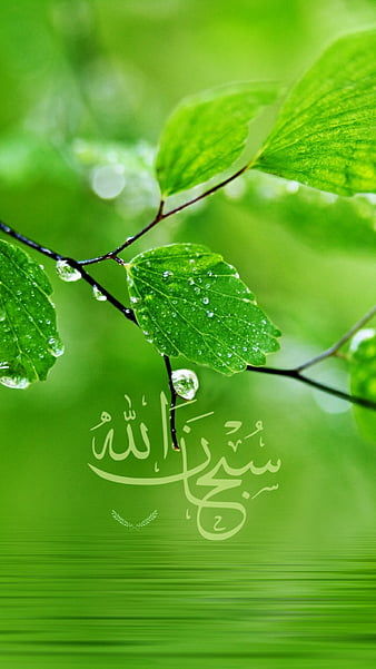 Islamic Wallpapers Gallery | Islam The Only True Religion