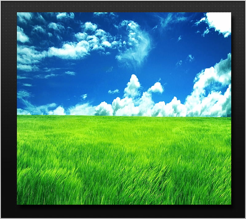 Summer Time, blue, clouds, grass, green, nature, sky, white, HD ...