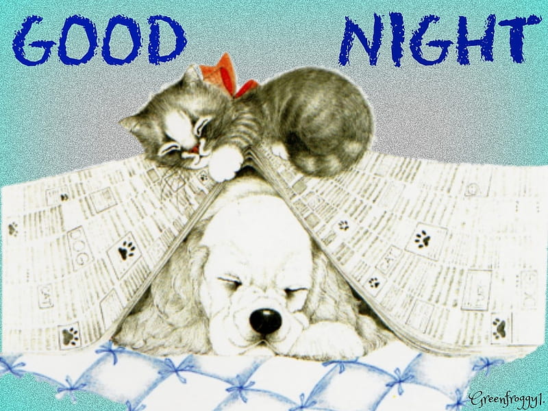 GOOD NIGHT, COMMENT, GOOD, NIGHT, CARD, HD wallpaper | Peakpx