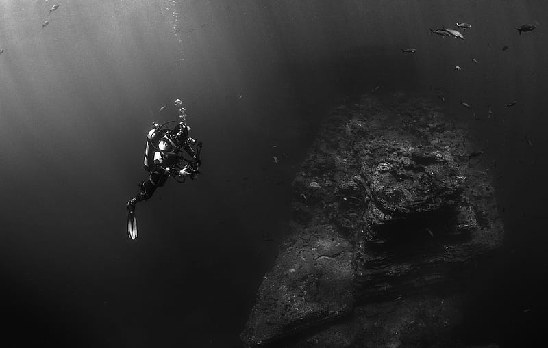 grayscale of person scuba diving, HD wallpaper