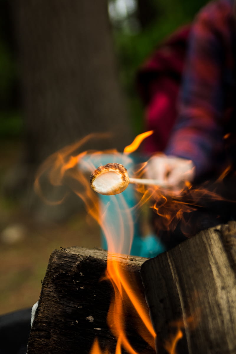 person barbecuing marshmallow, HD phone wallpaper