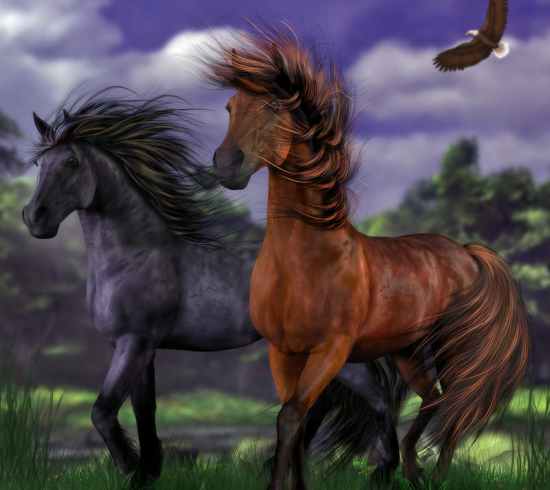 Wild Horses, horses, wild, HD wallpaper