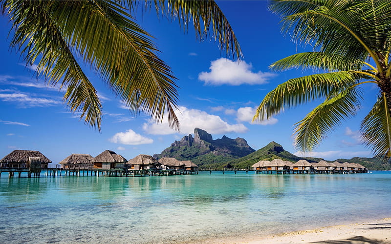 ocean, stay, bungalow, tropical island, islands, HD wallpaper