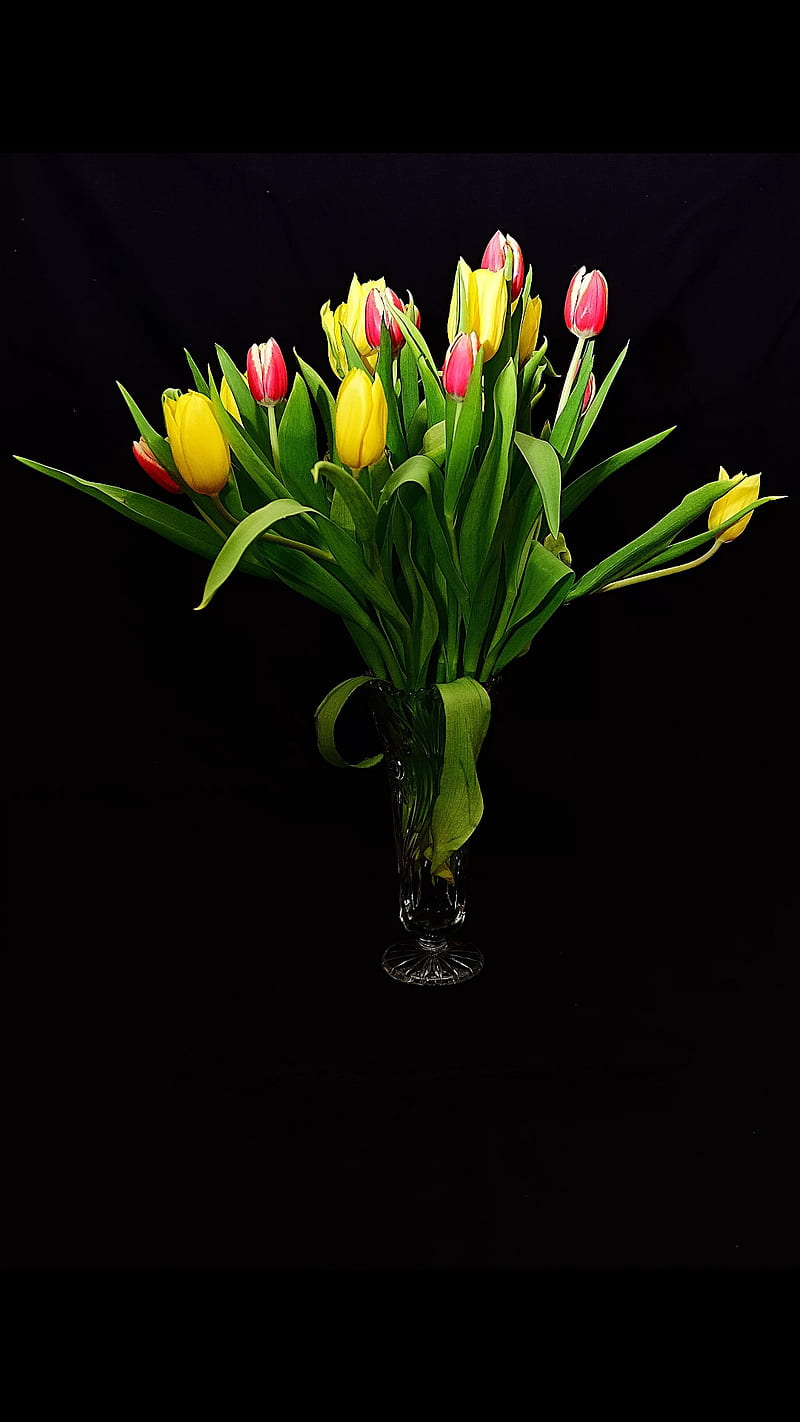 tulips, black, bouquet, flower, green, green leaves, red, vase, yellow, HD phone wallpaper