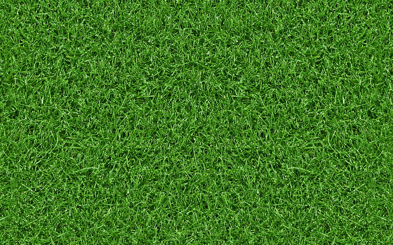 grass wallpaper 1920x1080