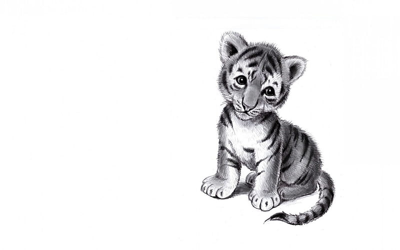 Tiger cub, art, black, tiger, animal, card, cute, bw, cub, child, white, HD wallpaper