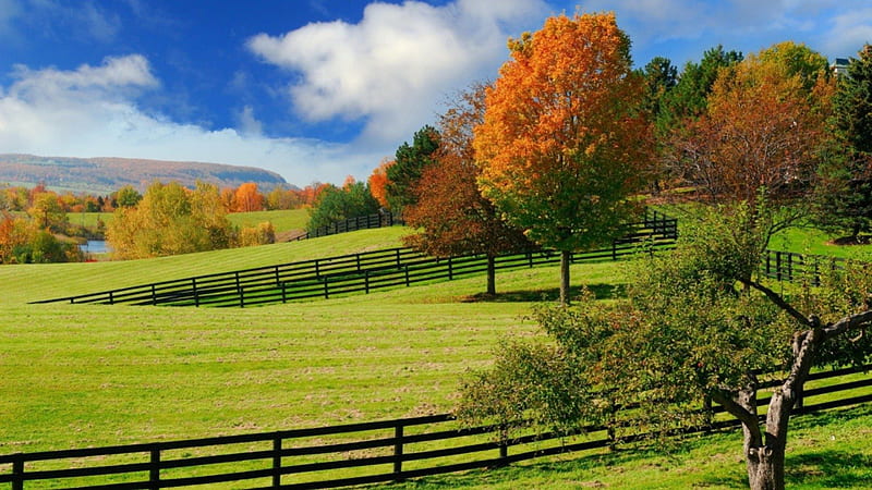 Autumn Pastures, fall, autumn, green, fences, farms, color, trees, HD wallpaper