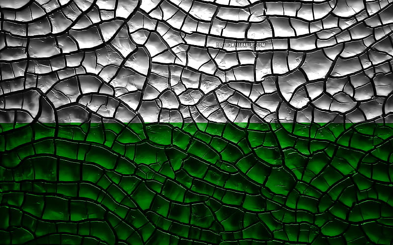 Flag of Styria austrian states, cracked soil, Austria, Styria flag, 3D art, Styria, States of Austria, administrative districts, Styria 3D flag, HD wallpaper