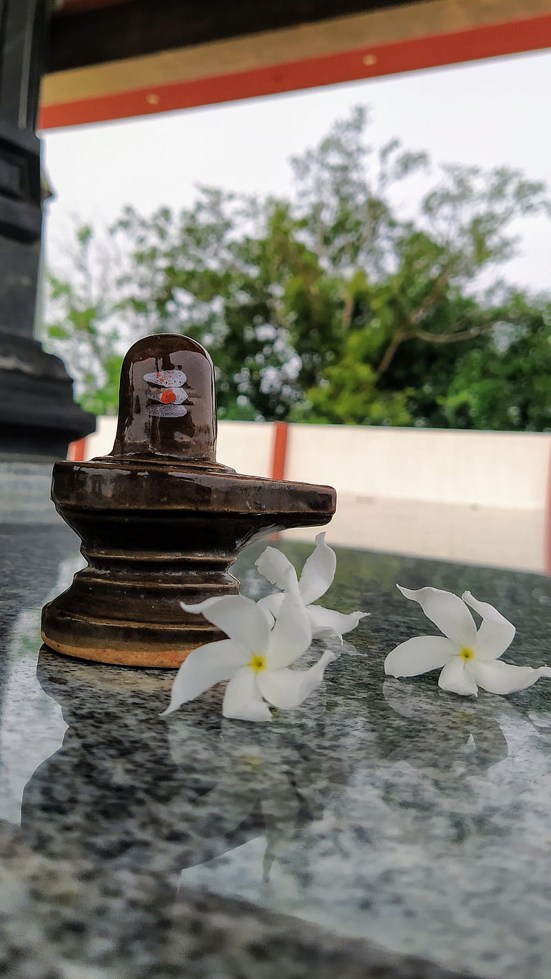 Pin on shiva linga alangaram