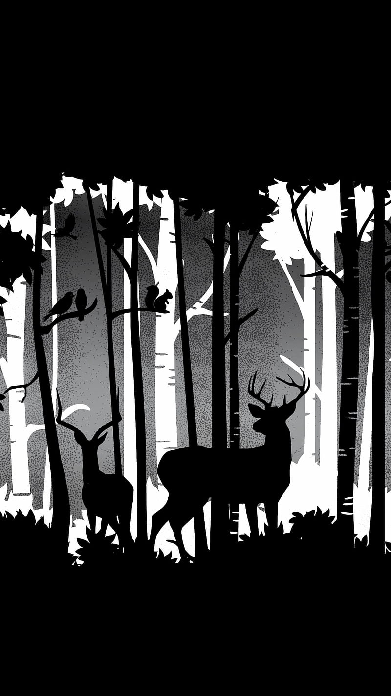 Hutan Belantara BW, Forest, animals, birds, blackandwhite, deer,  illustration, HD phone wallpaper | Peakpx