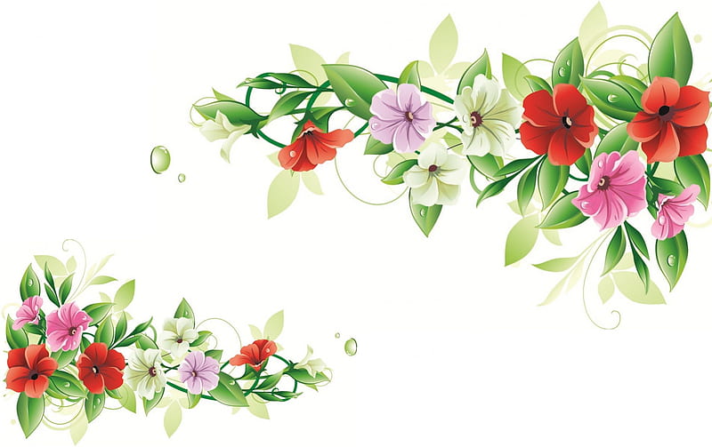 wallpaper hd flowers vector